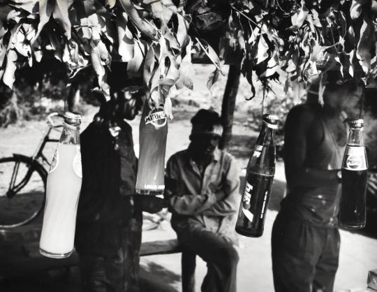 Roadside tea stall, Ken River Gorge, Madhya Pradesh, India