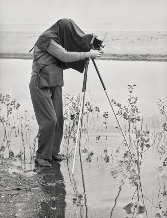 Harry Callahan, Lake Huron, MI