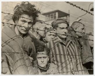 Auschwitz Prisoners
