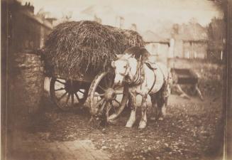 [Work Horse and Hay Cart, Bristol, England]