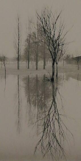 Reflection, Richmond England