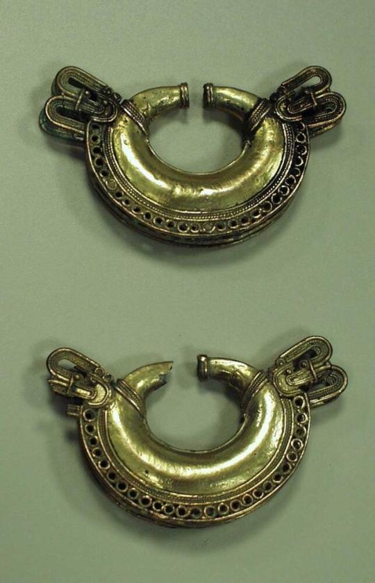 Pair of Ear Ornaments