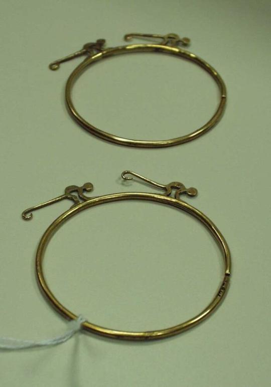 Pair of Ear Hoops