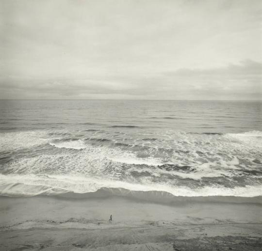 Cape Cod