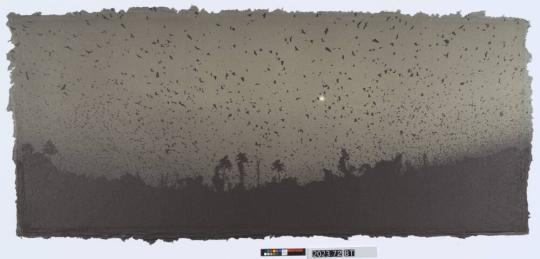 Straw-colored fruit bat migration, Zambia