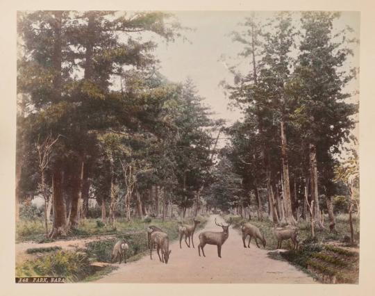 Park, Nara