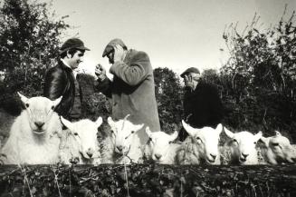 Manorhamilton Sheep Fair, County Leitrim