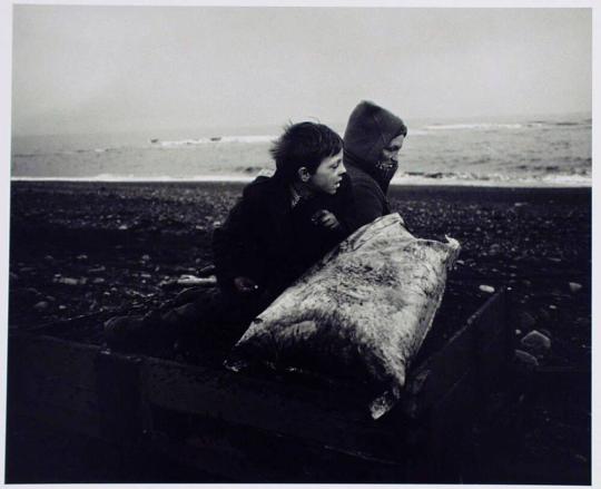 Rocker and Rosie Going Home, Seacoal Beach, Lynemouth, Northumberland