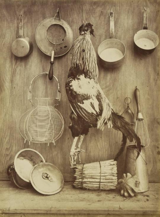 [Kitchen Still Life]