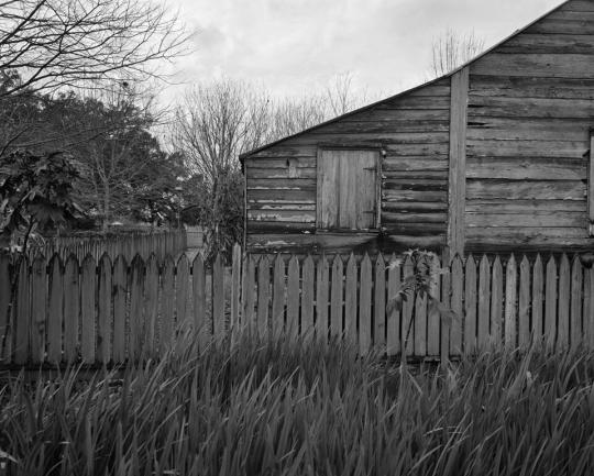 Picket Fence, Tree, and Cabin