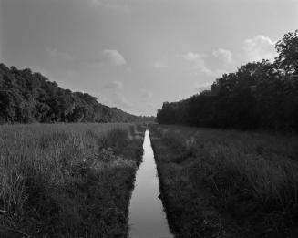 Irrigation Ditch