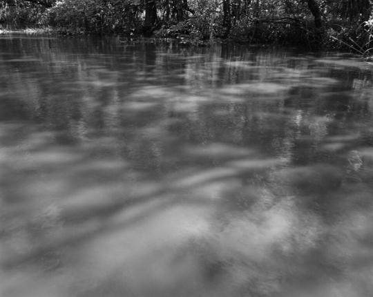 Light on the Swamp