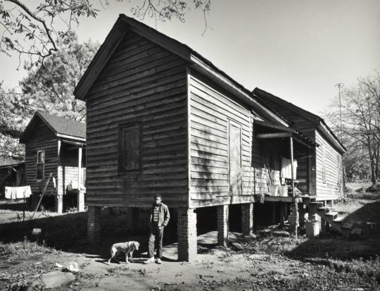 Boy with Dog