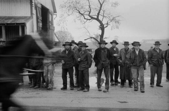 Amish Horse Sale, New Holland, PA