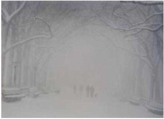 Poet’s walk during a snowstorm