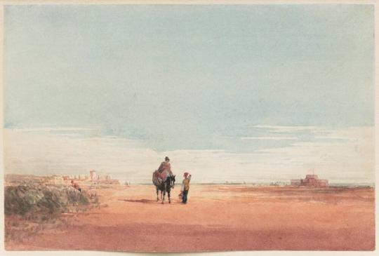 David Cox