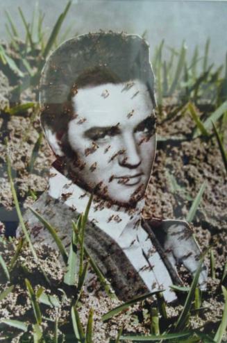 Elvis Eaten by Ants