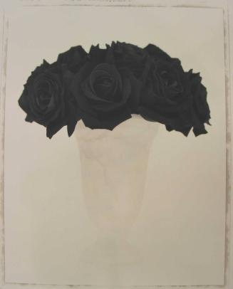 Rosa, Black Beauty II