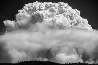 Pyrocumulus, Happy Camp Complex Fire, Klamath National Forest, California, USA