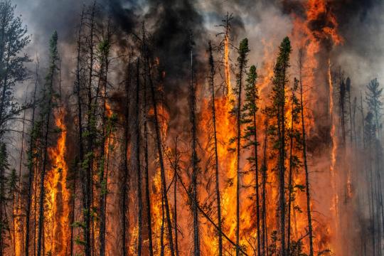 Flame Front #6, near Fort Providence, Northwest Territories, Canada