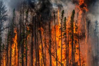 Flame Front #6, near Fort Providence, Northwest Territories, Canada