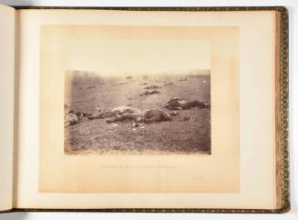 A Harvest of Death, Gettysburg, Pennsylvania