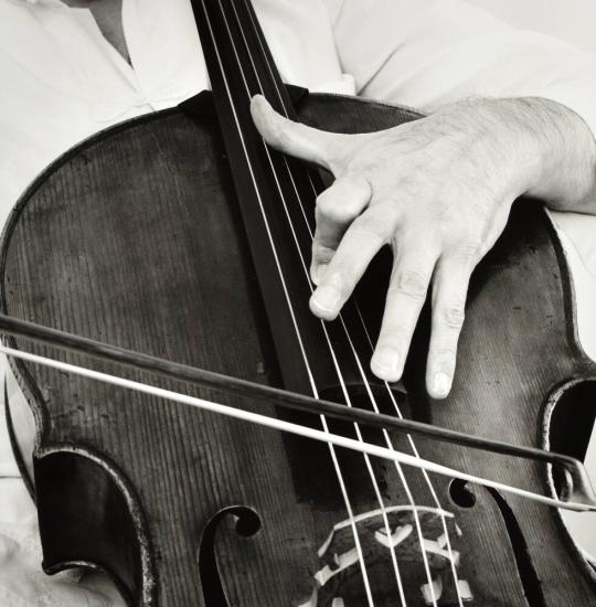 Mstislav Rostropovich (hand)