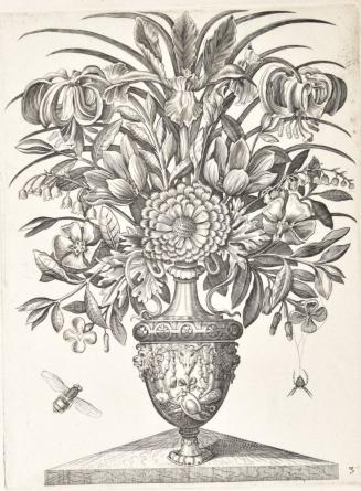Bouquet of Flowers in a Vase Surrounded by Some Insects, Plate 3