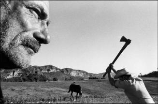 from the series Tierra guajira