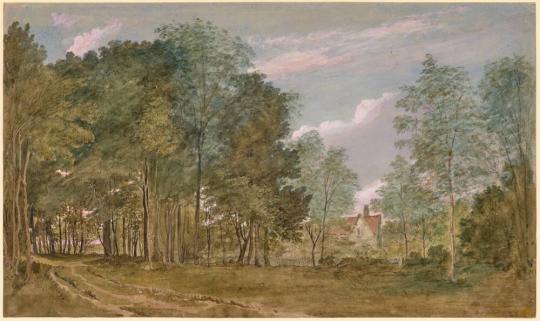 Woodman’s Cottage, Bagley Wood [recto]; Study of Young Oak Trees (Bagley Wood) [verso]