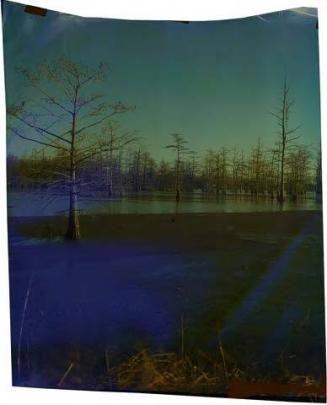 County Line at Anis Brake, Variation B (From the Mississippi Series)