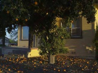 Farm Foreclosure, California