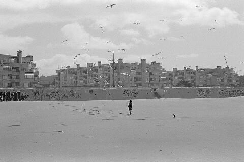 Ocean Beach, San Francisco, CA