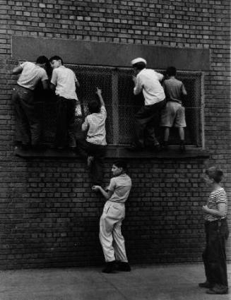 Ardent Dodger Fans, Locker Rooms at Dodger Stadium, Ebbett's Field, Brooklyn, New York