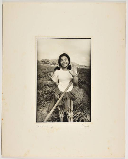 from the series Pinos nuevos