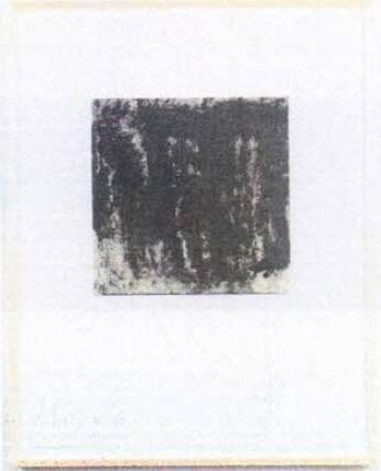 Image provided by curatorial.