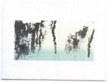 Image provided by curatorial.