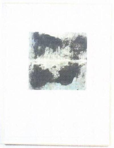 Image provided by curatorial.