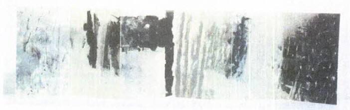 Image provided by curatorial.