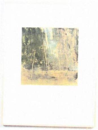 Image provided by curatorial.