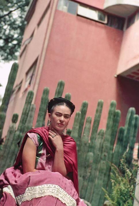 Frida by Organ Cactus Fence