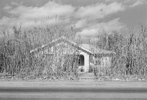 Tucson, AZ