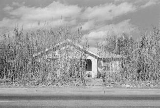 Tucson, AZ
