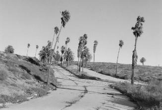 Vista Del Mar, CA