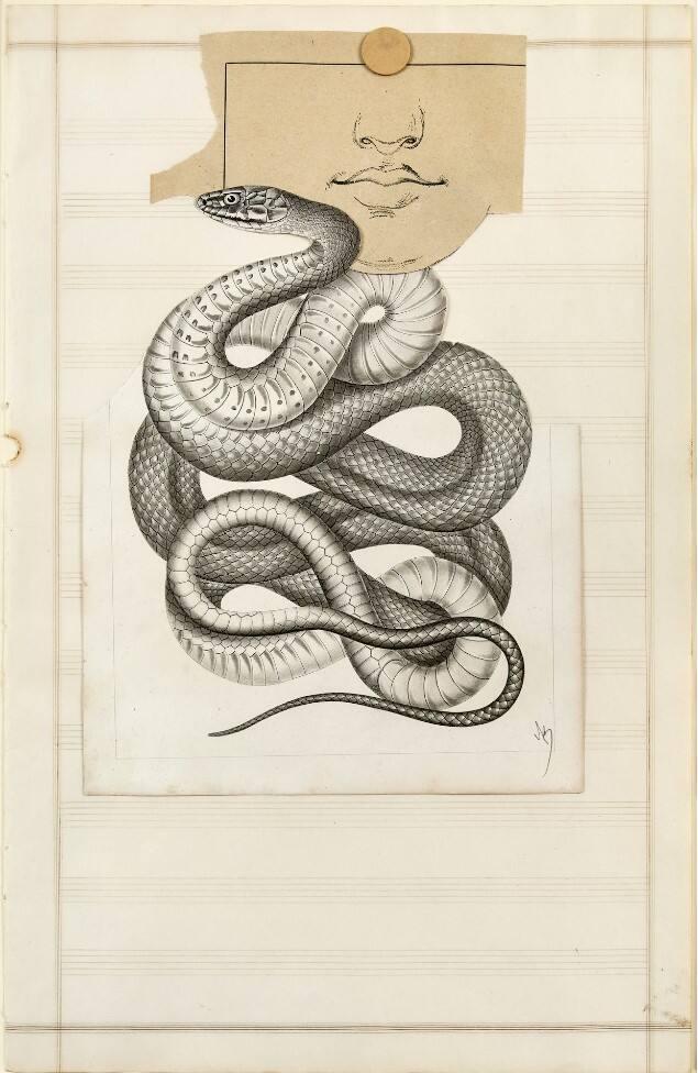 Image provided by curatorial.