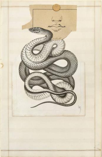 Image provided by curatorial.