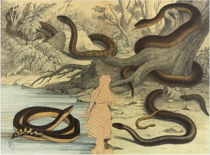 Image provided by curatorial.