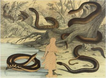 Image provided by curatorial.