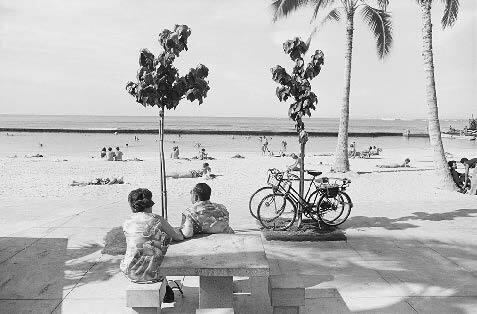 Waikiki No. 5