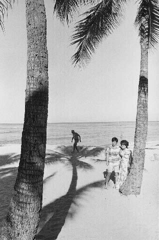 Waikiki No. 6